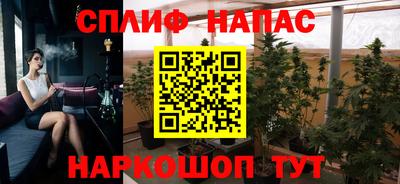 PSILOCYBIN Камышлов