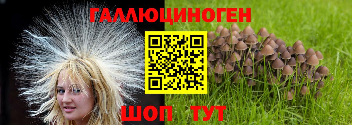 Псилоцибиновые грибы MAGIC MUSHROOMS  Вход с VPN  купить  цена  Коммунар 